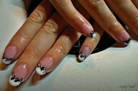 /album/galeria/dscn0151-jpg/