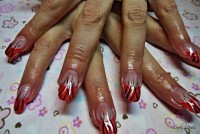 /album/galeria/dscn0262-jpg/