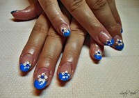 /album/galeria/dscn0390-jpg/