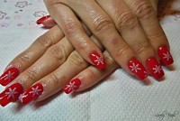 /album/galeria/dscn0609-jpg/