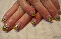 /album/galeria/dscn0644-jpg/