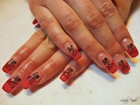 /album/galeria/dscn0668-jpg/