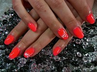 /album/galeria/dscn0712-jpg/