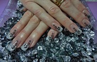 /album/galeria/dscn0747-jpg/