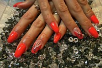 /album/galeria/dscn0808-jpg/